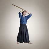 Боккэн, bokken